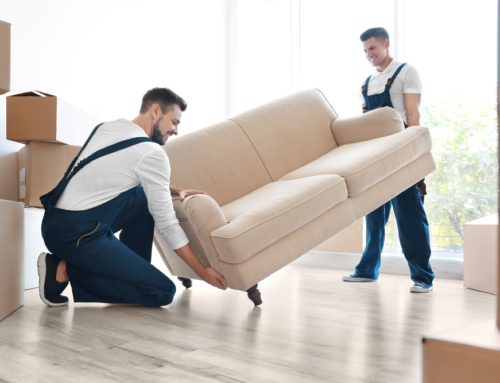 How local furniture removalists fulfil your relocation needs