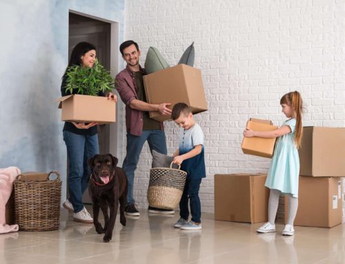 Our tips for decluttering your house before a move